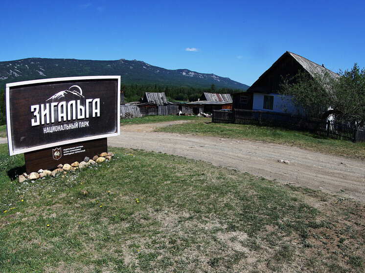 В нацпарке «Зигальга» заговорили о самом бесснежном начале декабря за 5 лет