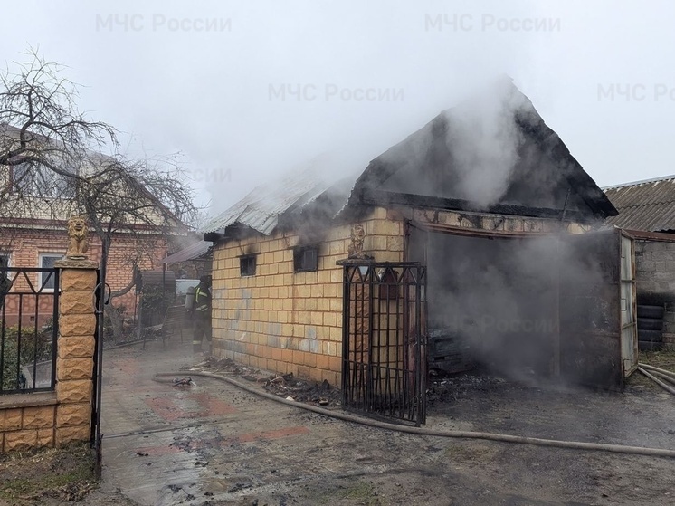В Брянске на Делегатской сгорел гараж с автомобилем