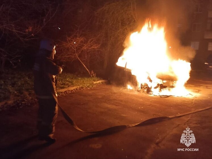 В Узловой на улице Мира сгорели мусорные контейнеры