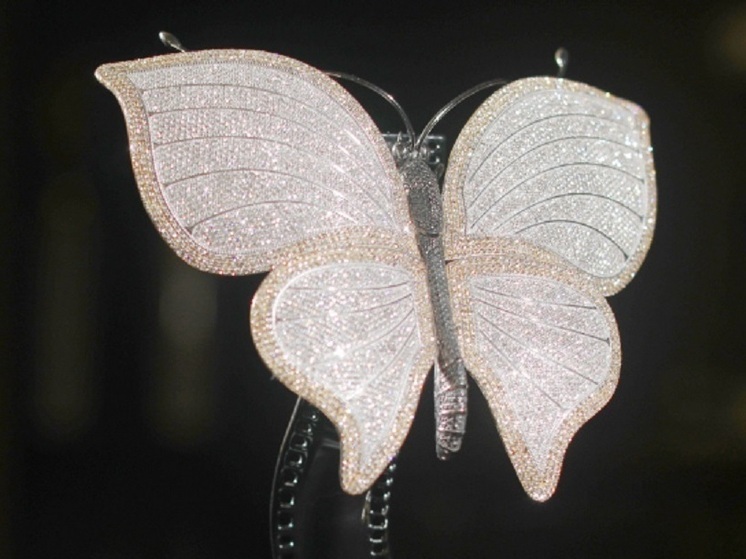 В Петрозаводске покажут ленты Евразийской кинопремии «Бриллиантовая бабочка»