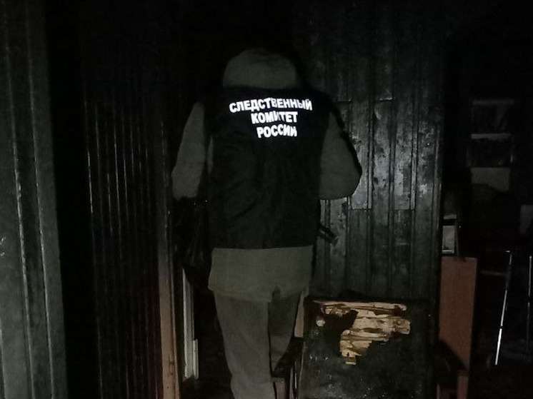 В Поморье расследуют гибель пенсионерки при пожаре в жилом доме