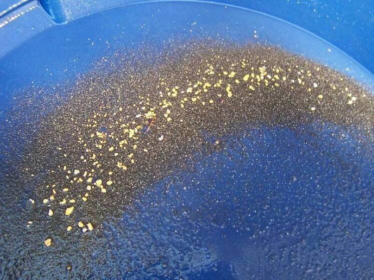 В Тынде старатель украл золото у артели