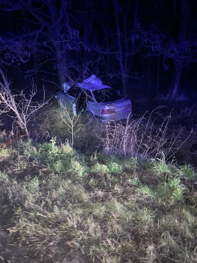 Под Курском в слетевшем с трассы «Ауди» травмированы три человека