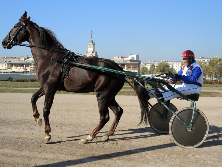 РГ: как доживает свой век отданный под застройку ростовский ипподром