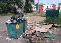 Мусорная тема – вечный болезненный вопрос
