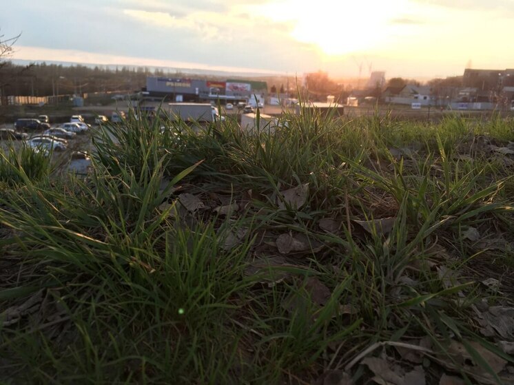 Теплая неделя ожидает жителей Саратовской области