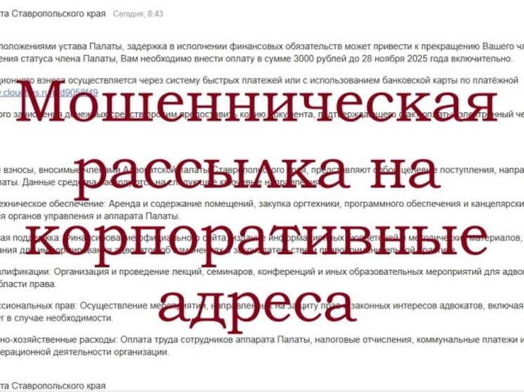 Адвокаты Ставрополья получают сообщения от мошенников по «уплате взносов»
