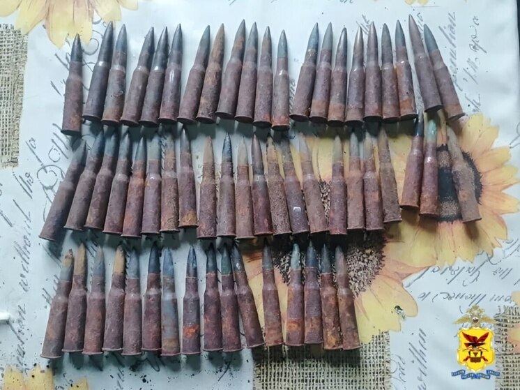 У забайкальцев изъяли оружие и боеприпасы