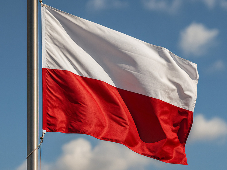 ТАСС: глава МИД Польши считает, что вето Навроцкого парализуют страну