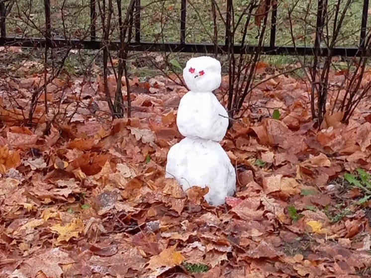 К началу зимы в Новгородскую область вернулась осень