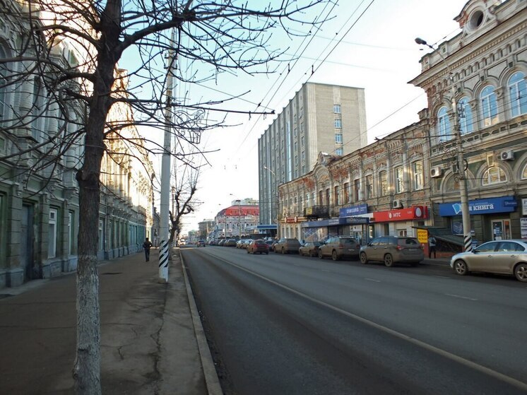 В центре Саратова обнаружен выброшенный узорчатый полоз