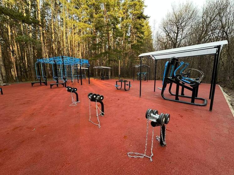 В уфимском парке Лесоводов появилась новая спортплощадка