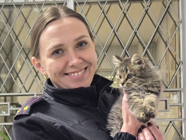 В Каневском районе появился полицейский котенок