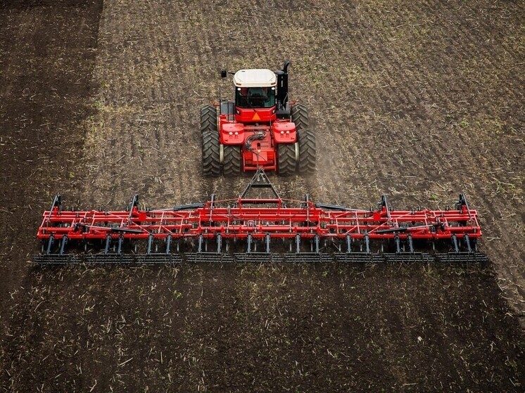 В ЛНР завершился сев озимых культур на площади 286 тысяч гектаров