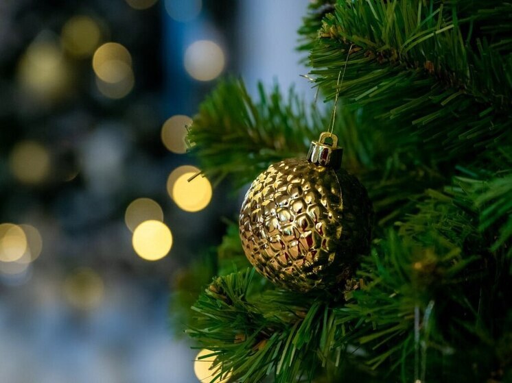 Без снега, но с елкой: Магнитогорск готовится к Новому году