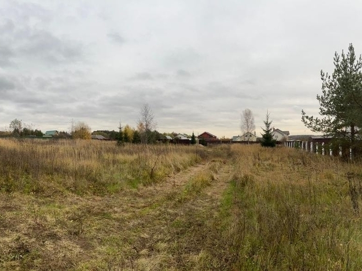 В Кольчугино продавали землю по заниженной стоимости