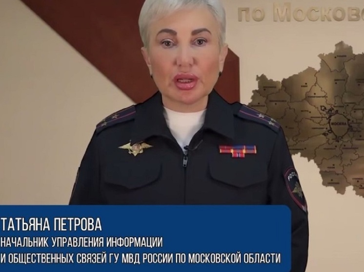 В Подмосковье задержали 26-летнего грабителя, который напал с ножом на женщину