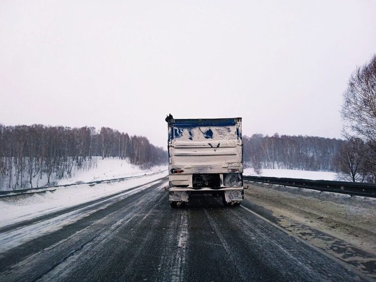 Новые рынки и рост машиностроения: как Омская область развивает экспорт