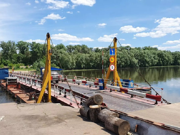 В Воронежской области начнется масштабная реконструкция понтонного моста через Дон
