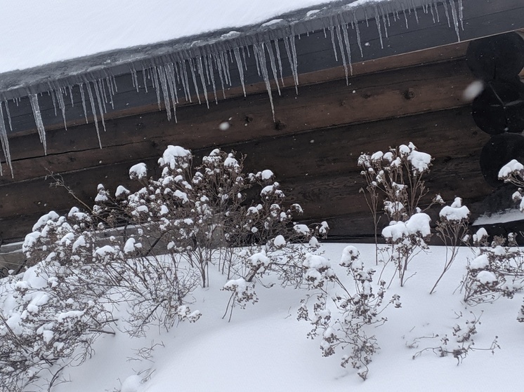 Теплая погода задержится в Вологодской области