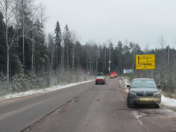Дорогу под Выборгом отремонтируют после обращения жителей к губернатору