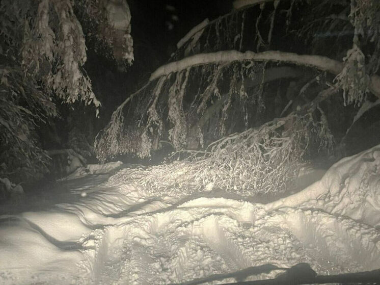 Кузбасский поселок восьмой день живет без электричества