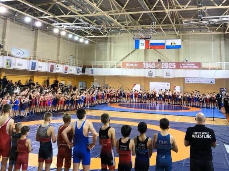 Кингисеппские борцы успешно выступили на Первенстве Новгородской области