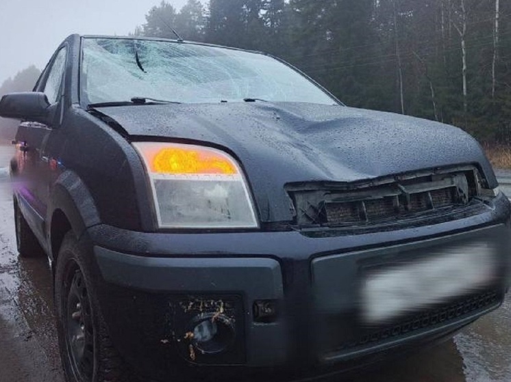 67-летнего мужчину насмерть сбили в Ижевске