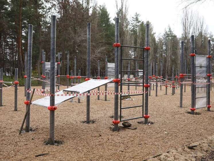 В парке «Танаис» в Воронеже открывается новая многофункциональная спортивная зона