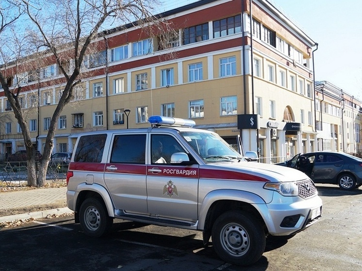 В Бурятии росгвардейцы за неделю помогли  раскрыть 15 преступлений