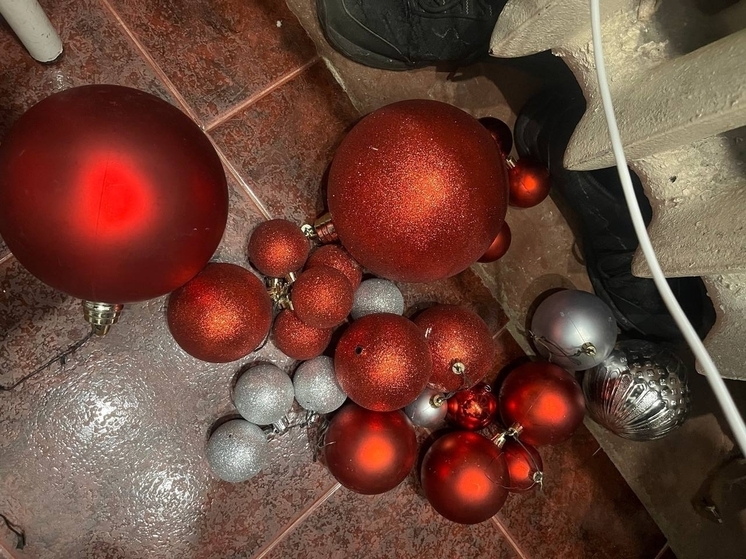 Череповчанка украла декор в банкетном зале, чтобы украсить свой дом к Новому году