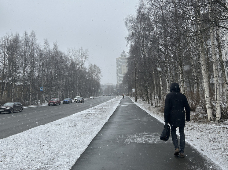 В Архангельске ищут оптимальные способы обработки тротуаров при оттепели