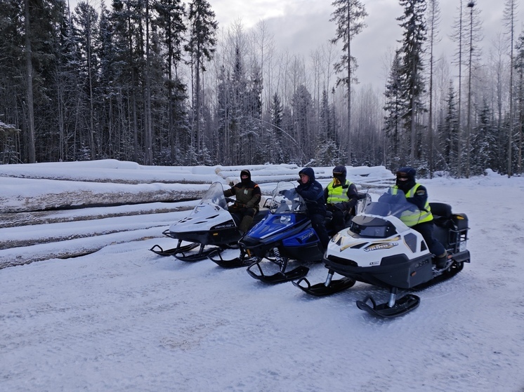 В Томской области стартовала зимняя профилактическая операция «Снегоход»