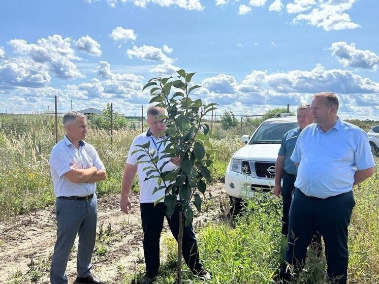 Курский губернатор выступил за возрождение яблоневых садов