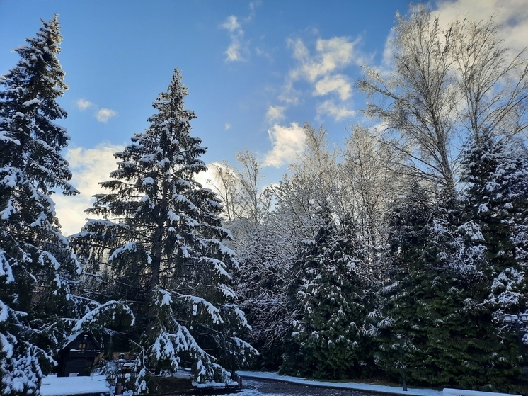 Воронежский декабрь будет теплее и суше обычного