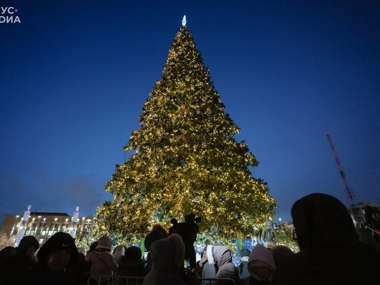 В Якутске зажгли огни первой новогодней ёлки в стране