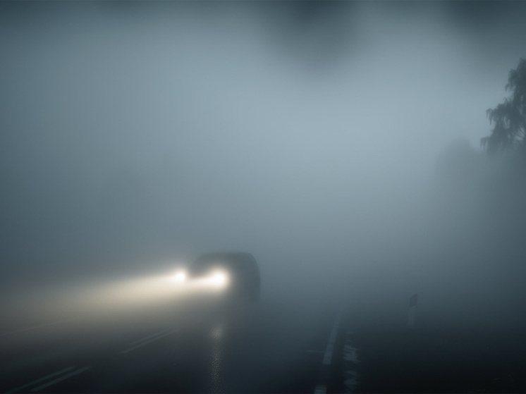 Жителей Владимирской области предупреждают о сильном тумане