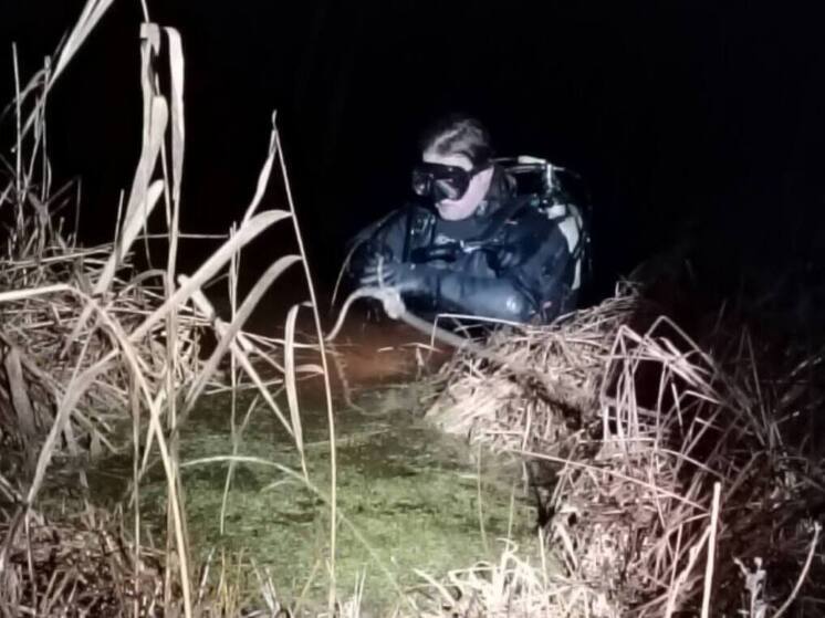 Спасатели рассказали о поисках пропавшего человека в Екшуре Рязанской области