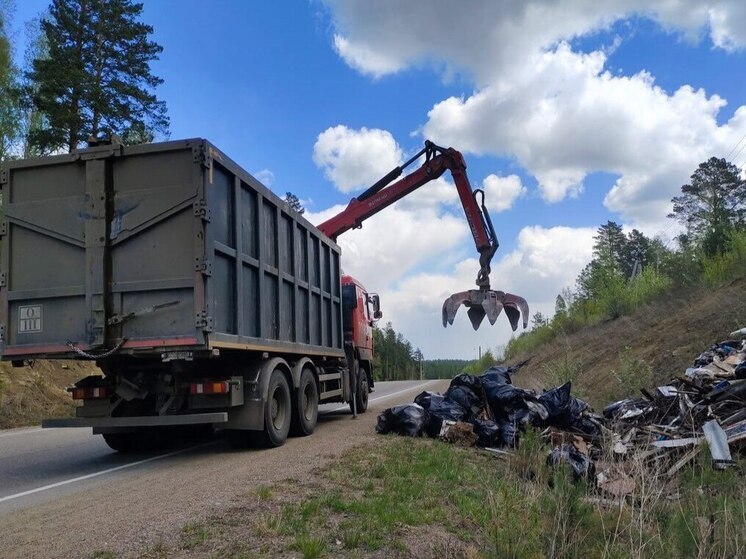 В лесах Приангарья с начала года ликвидировали 100 свалок