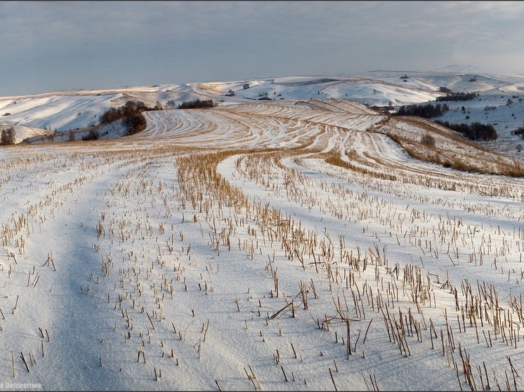 Завтра приметы расскажут о погоде в Калмыкии