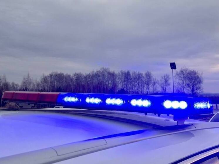 В Лопатинском районе водитель «ВАЗ» сбил лося и съехал в кювет