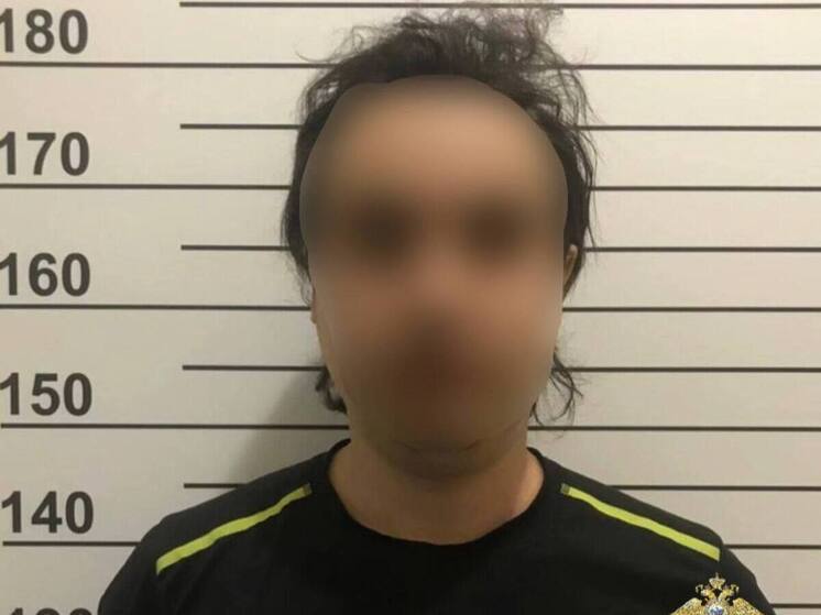 Петербуржцы угнали авто и сожгли улики с гаражом в Ленобласти