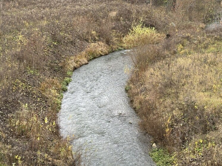 Росприроднадзор взыскивает с властей Кимовского района 11 млн рублей