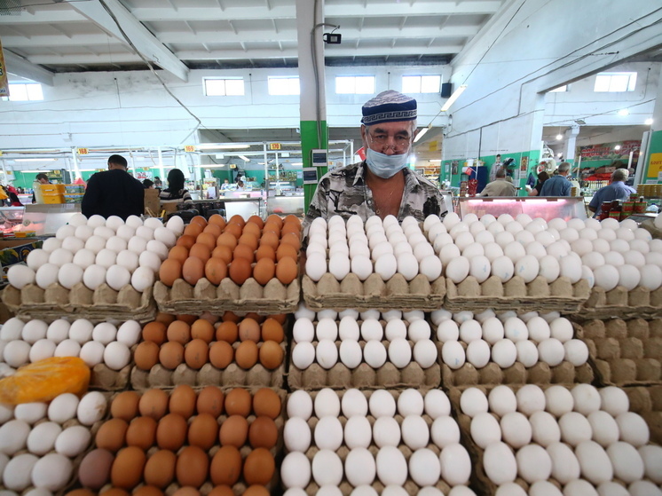 В Волгоградской области куры-несушки дали больше всего яиц в ЮФО