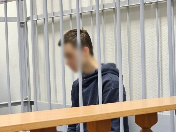 Устроившего поножовщину в Архангельском техникуме подростка судят по двум статьям