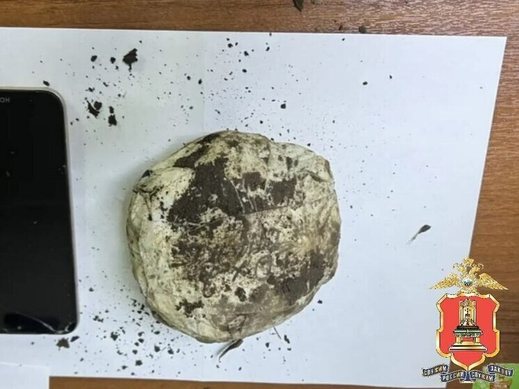 Пару наркодилеров задержали в Тверской области со «спайсом»