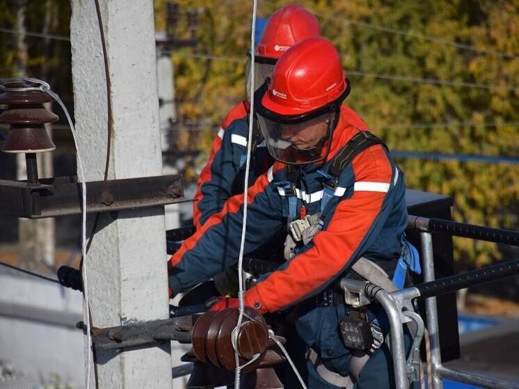 В марийском филиале «Россети Центр и Приволжье» установлено более тысячи птицезащитных устройств