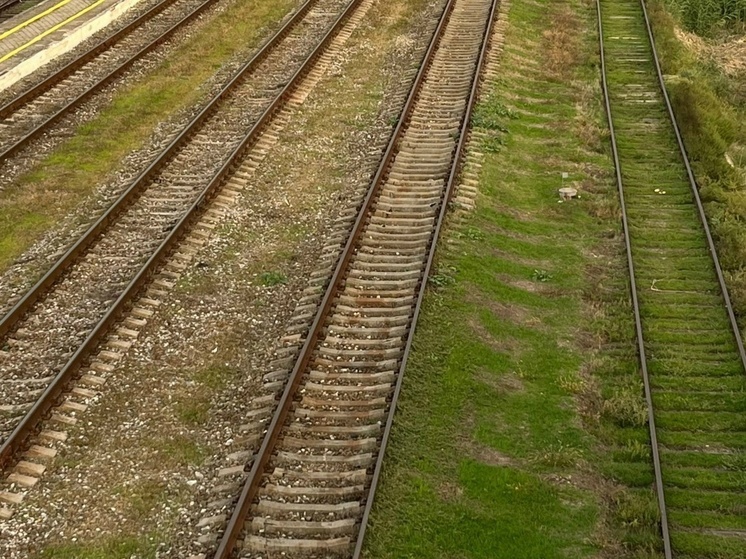 В Ростовской области грузовой поезд сбил насмерть 53-летнюю женщину