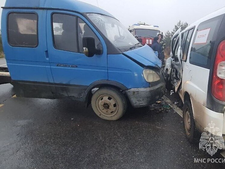 Пять человек пострадали в ДТП у деревни в Ивановском районе