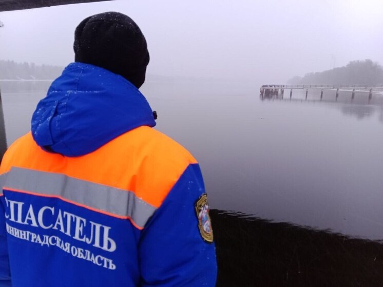 Спасатели Ленобласти за неделю 63 раза выезжали на вызовы